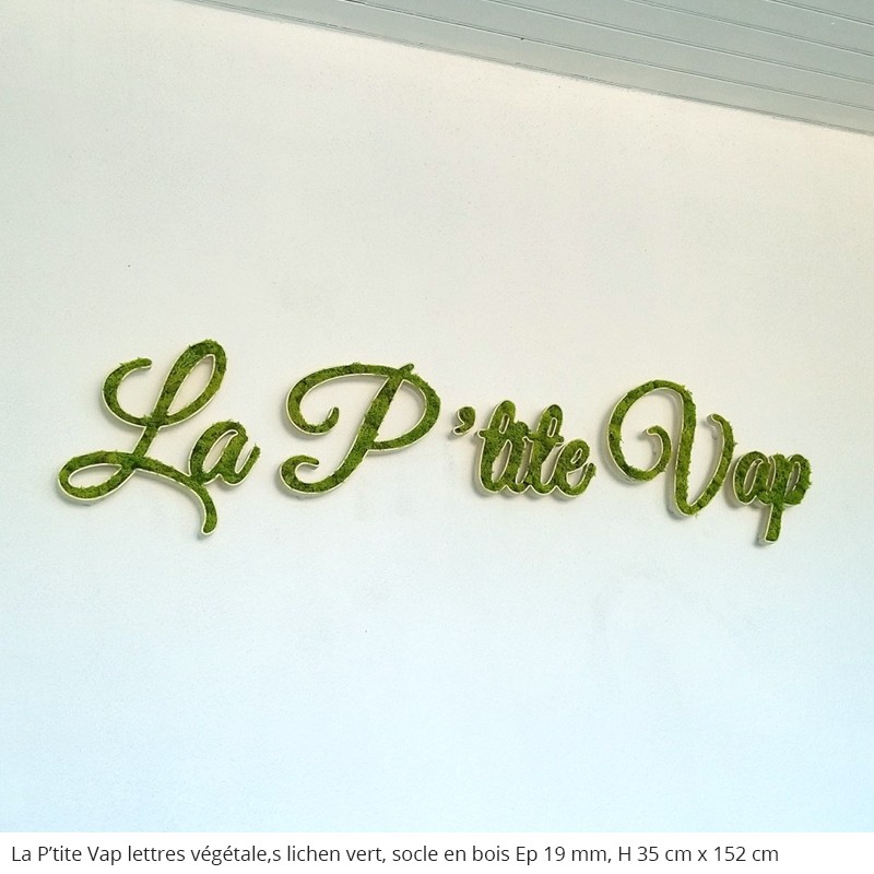 La p'tite vap, enseigne logo végétal socle en bois et lichen vert, décoration pour l'intérieur