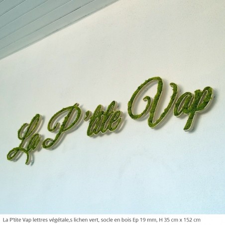 La p'tite vap, enseigne logo végétal socle en bois et lichen vert, décoration pour l'intérieur
