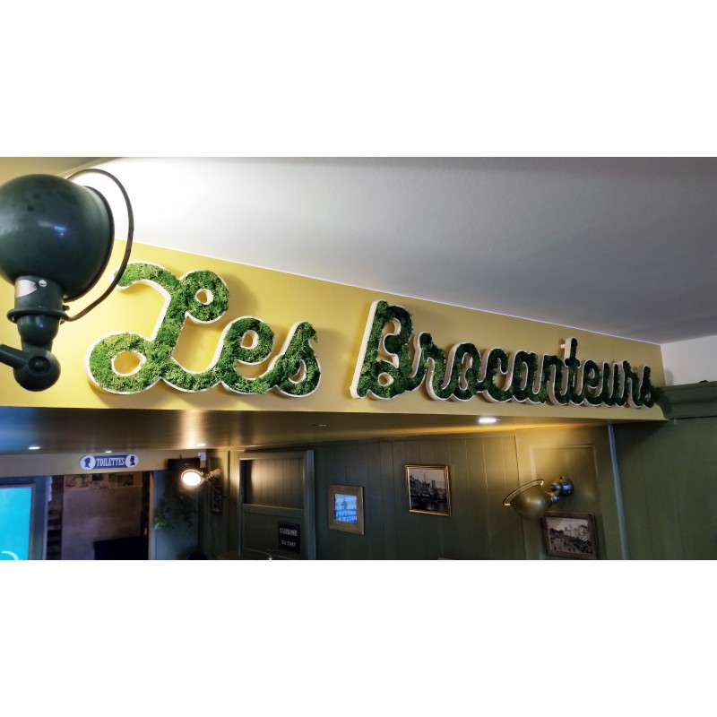 Lettres en lichen stabilisé