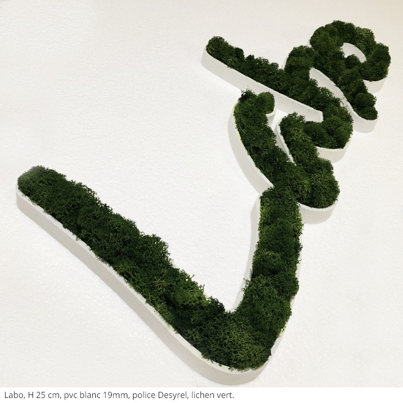 lettres végétales labo pvc blanc brut + lichen vert