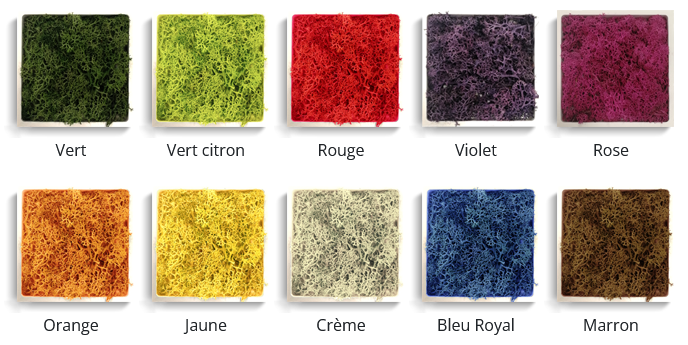 Couleurs lichen