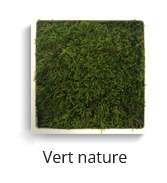 Mousse verte logo végétal