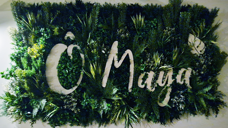 O Maya logo végétal