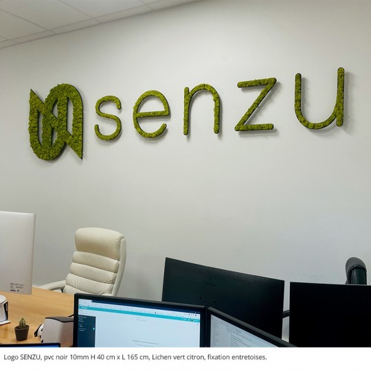 Décoration végétale murale pour bureau d’entreprise design : créer un espace de travail moderne et inspirant
