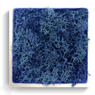 carré lichen Bleu Royal